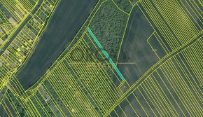 Prodej 1,8 ha pozemků v k. ú. Březolupy - 6
