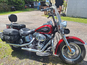 Harley Davidson FLSTC 1688cm3 - 6