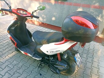 Kentoya 125 cm, r.v.2016 - 6