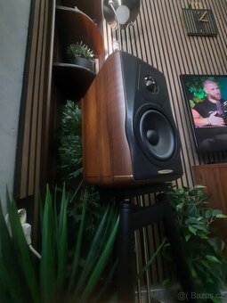 Sonus faber - 6