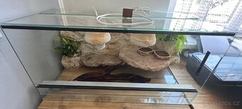 Terárium pro agamu - 6