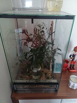 Strašilky ďábelské - 6