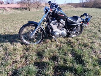 Harley Davidson sportster 883 - 6
