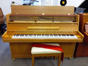 Samick 105(Jako nové)-Dovoz i na Štědrý den 24.12. - 6