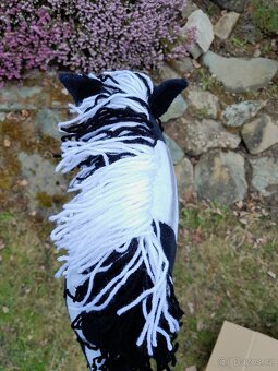 Hobby horse - 6