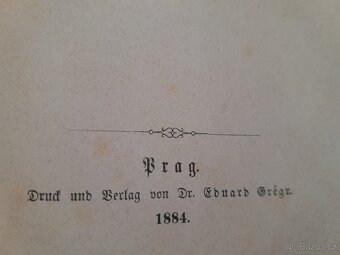 STAROŽITNÁ KNIHA roku 1884 Wanderungen durch Prag - 6