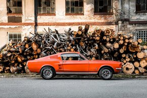 Ford Mustang FASTBACK GT V8 1967 - 6