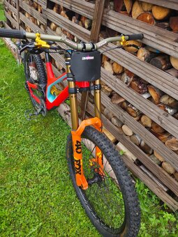 Specialized Demo - 6