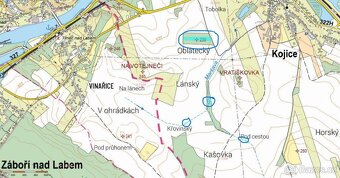 Prodám lesní pozemek v k.ú. Kojice - 6