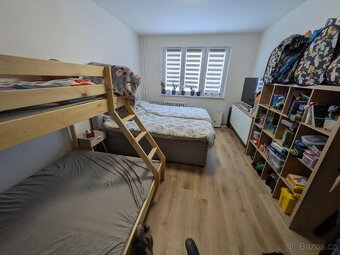 Prodej bytu 2+1 DV, ul. Vrchlického, Chomutov - 6