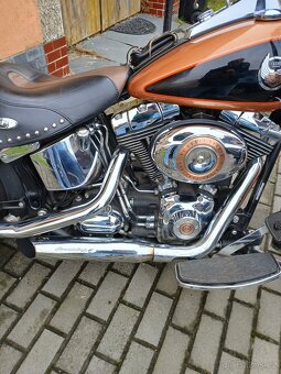 Harley Davidson - 6