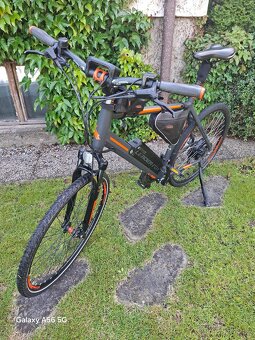 Leader Fox Barnet - 6