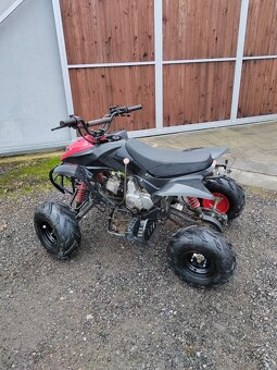 Čtyřkolka 110ccm - 6