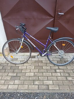 Damske kolo Author - 6