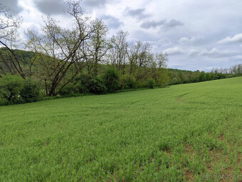 Prodej chaty 14 m2. Budkovice, pozemek 744 m2 - 6