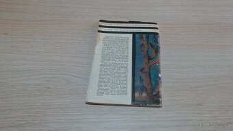 Harte - Ztraceni v pustině - 6