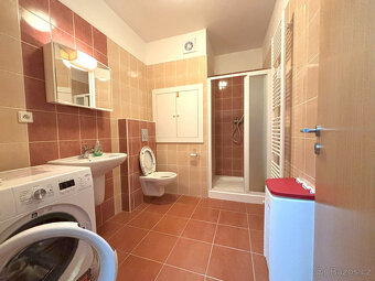 Pronájem bytu 1+kk, Goldscheiderova, Plzeň, Kč/měs, 30 m2 - 6