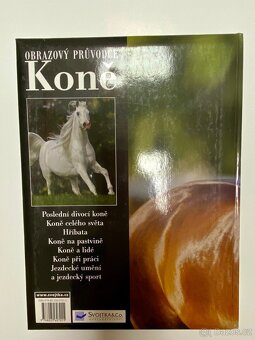 Obrazový průvodce koně - 6