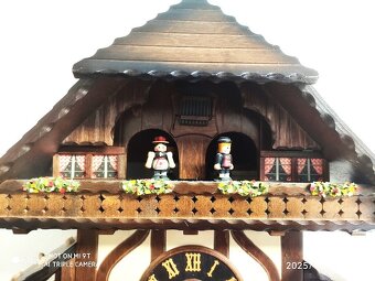 Hezke, hraci kukacky, Schwarzwald - 6