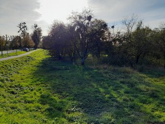 Prodej - pozemek - Hustopeče nad Bečvou - 6