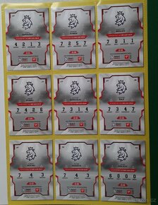 TEAM  20 _ HOKEJOVÉ ČESKO 2024 _ Kompletní sada ( 27 kusů ) - 6