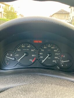 Peugeot 206/1.6 - 6