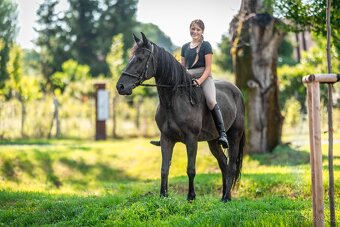 Klisna pony 147khv na rekreaci i sport - 6