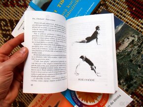 Nejlevněji v ČR ( rozfoceno 8 snímků ) - 6