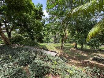 LOT 10 Bodden Bight Estate, Roatan - 6