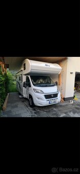 Laika etrusco (Ocean 650) - 6