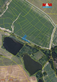 Prodej pole v Novém Městě na Moravě - 6