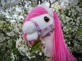 Hobby horse - 6