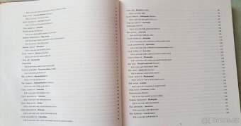 KLÍČ K URČOVÁNÍ BEZOBRATLÝCH - 6