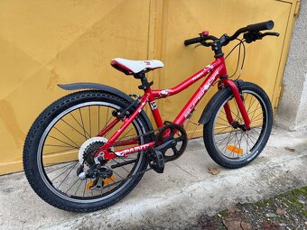 Superior Paint 20 dětské kolo po servisu s páčkovým řazením - 6