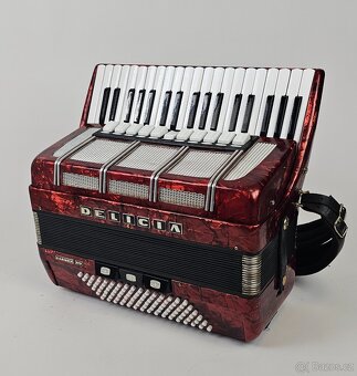 Akordeon harmonika Delicia carmen 14, 96 bas 4 hlas - 6