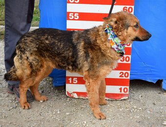 EILYN K ADOPCI - 1 ROK, KLIDNÁ, ODDANÁ, MILÁ - 6