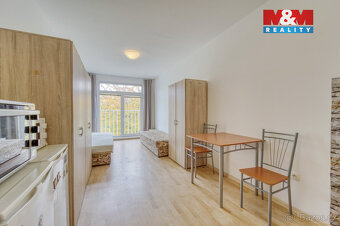Pronájem bytu 1+kk, 28 m², Plzeň, ul. Nepomucká - 6