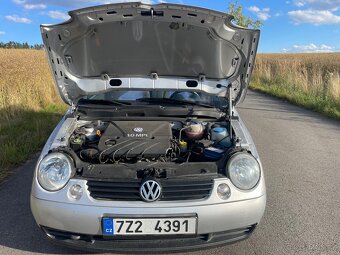 Wv lupo - 6