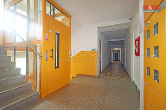 Pronájem bytu 1+kk, 18 m², Karlovy Vary, ul. Fibichova - 6