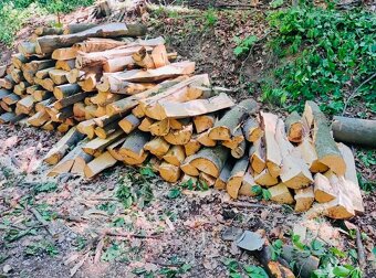 Akce - levné palivové dřevo ,Hranice Opava Krnov Bruntál - 6