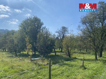 Prodej zahrady, Loučka u Valašského Meziříčí, 649 m² - 6