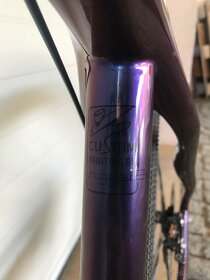 Custom Gravel bike Rock Machine chameleon karbon - 6