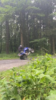 Yamaha Raptor 660r - 6