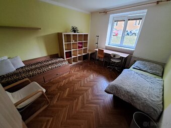 Pronájem pokoje, Brno Žabovřesky, Jindřichova 13 - 6
