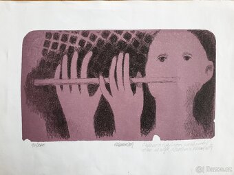 Prodám Starožitnosti obrazy,mapy,pohledy - 6