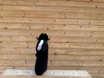 LARDEN - Hobby Horse - 6