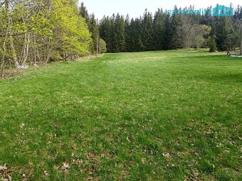 Prodej, louka, 5 869 m2, Zdíkov - Nový Dvůr - 6
