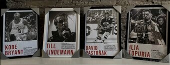 Charles Oliveira - PrintArt s rámem - 6