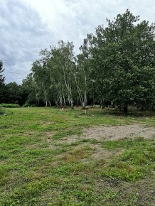 Exkluzivní pozemek polosamota - 6