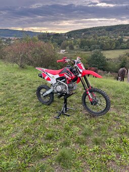 Pitbike wpb 190cc - 6